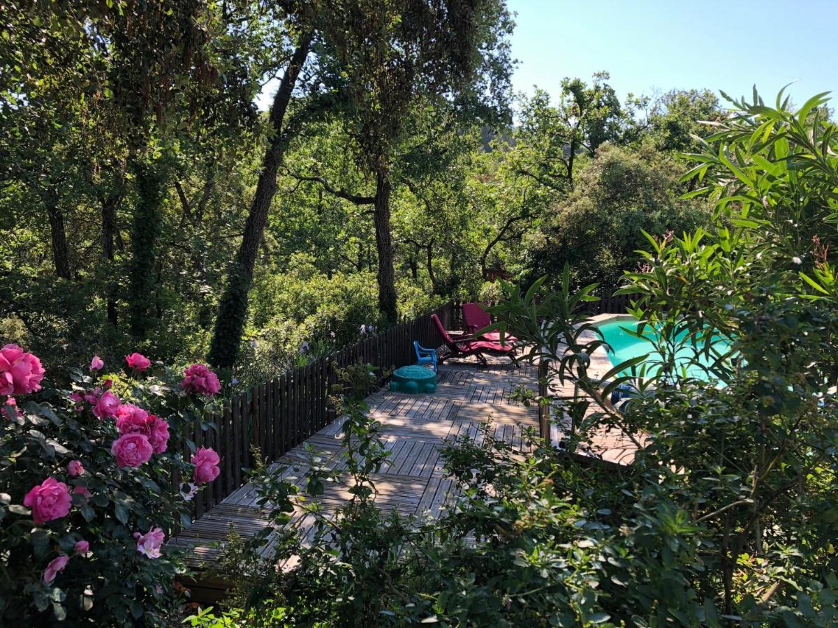 La Bastide De Mauragne - Gite Les Iris Apt Luaran gambar
