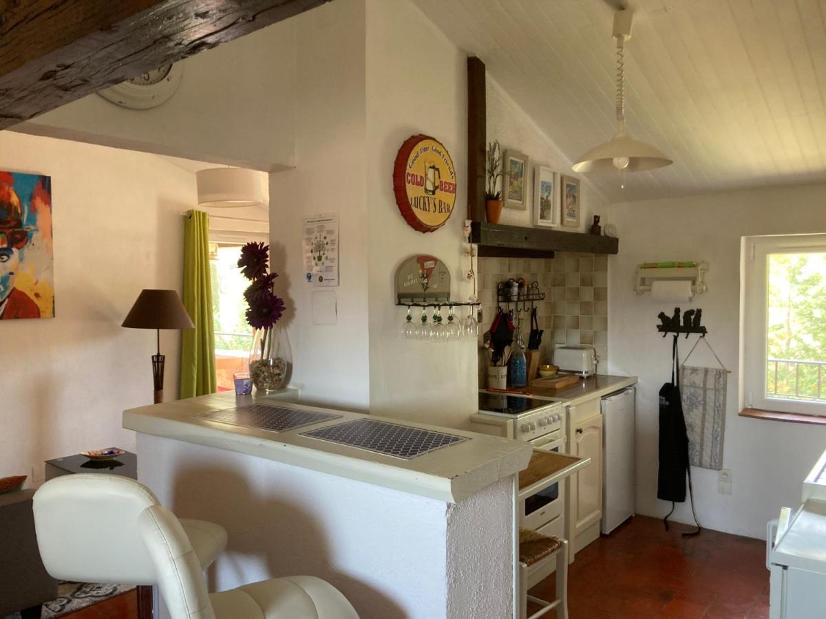 La Bastide De Mauragne - Gite Les Iris Apt Luaran gambar